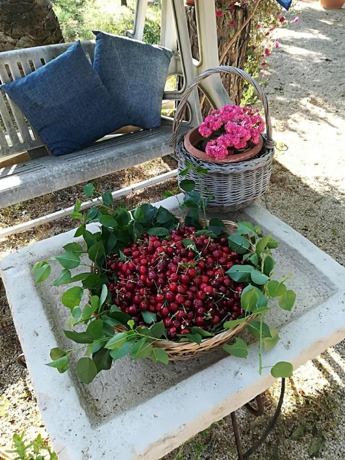 B&B Nonna Laura Trani Dış mekan fotoğraf