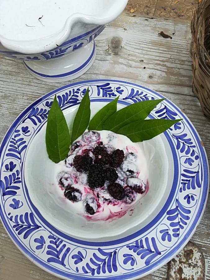B&B Nonna Laura Trani Dış mekan fotoğraf
